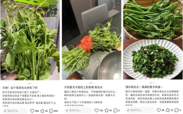 天盈配 这个夏日蔬菜含水量 90%，热量超低，钾含量比香蕉还高，可惜很多人都扔掉了！