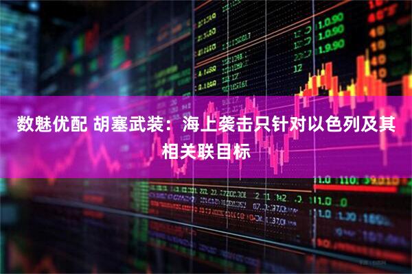 数魅优配 胡塞武装：海上袭击只针对以色列及其相关联目标