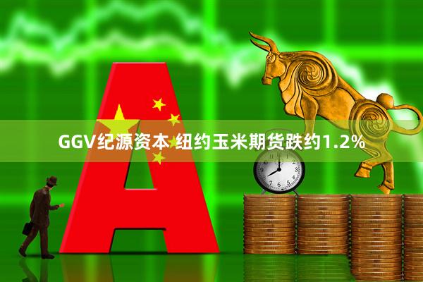 GGV纪源资本 纽约玉米期货跌约1.2%