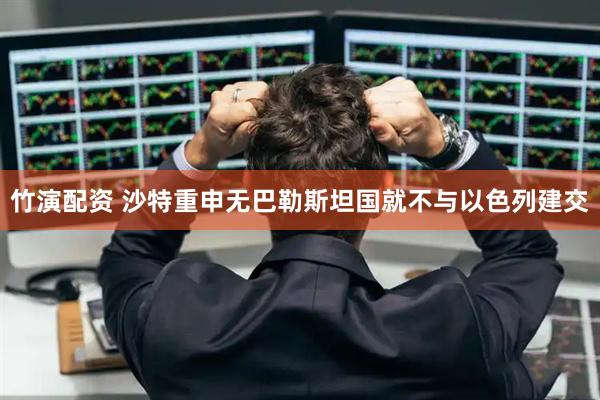 竹演配资 沙特重申无巴勒斯坦国就不与以色列建交